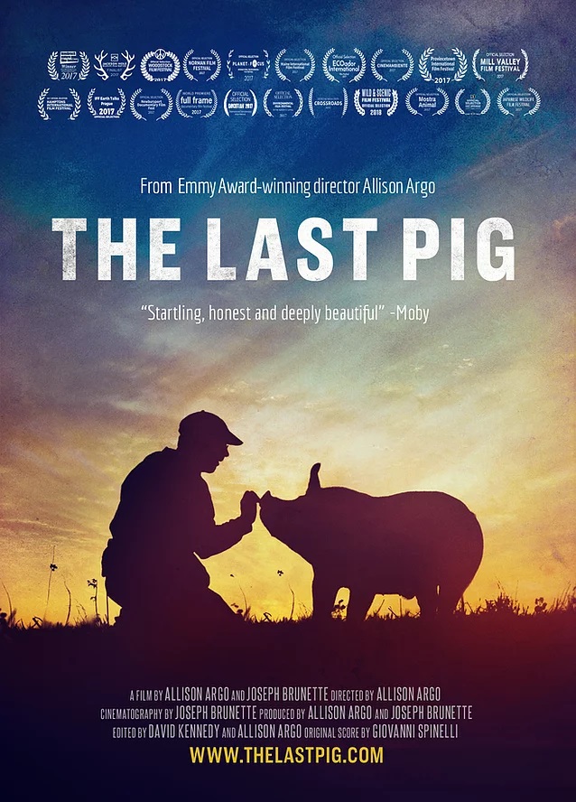 locandina The last pig